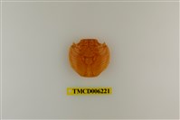 藏品(白紋方蟹)的圖片